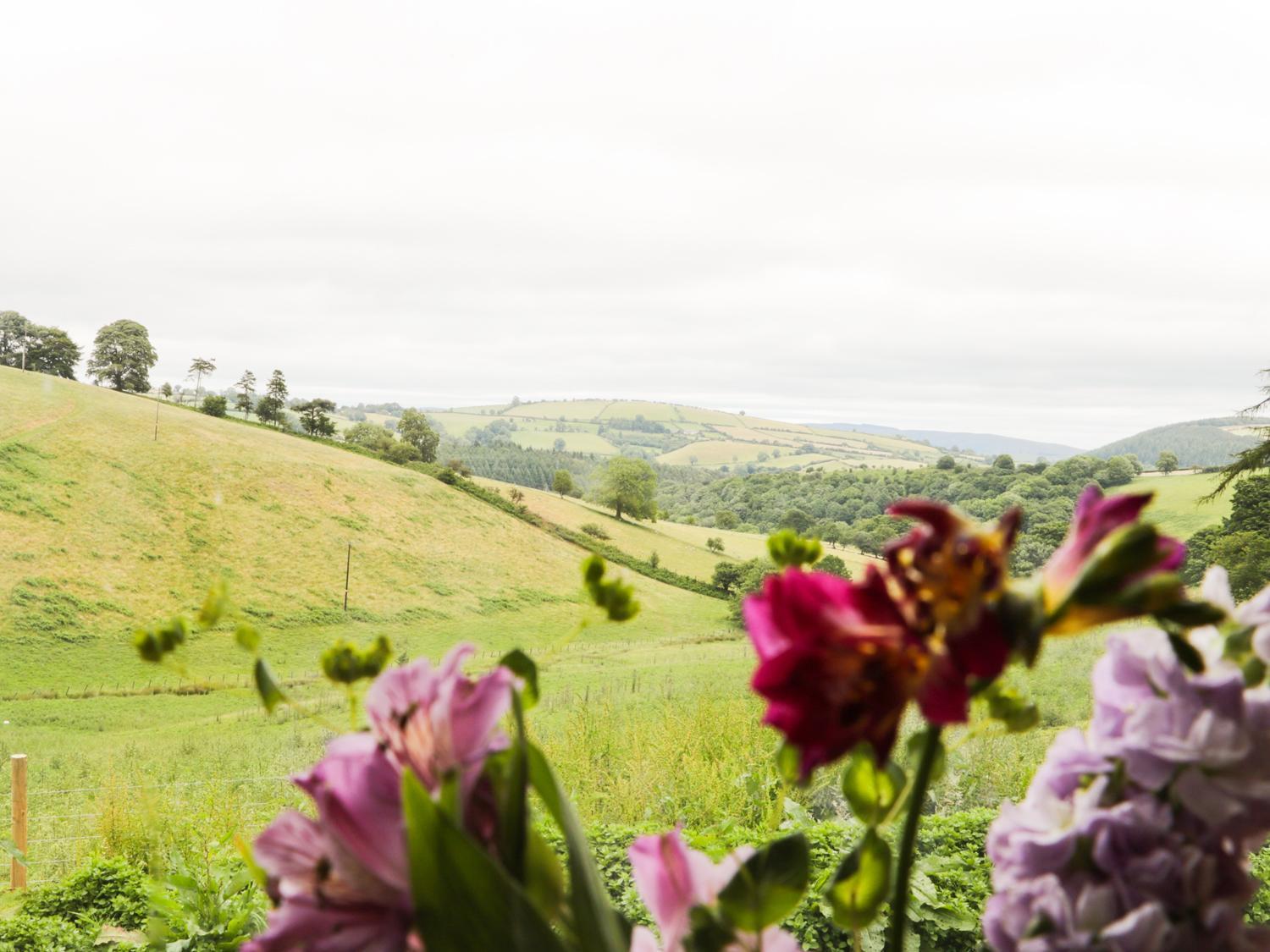 Rolling Hills Villa Newcastle  Kültér fotó